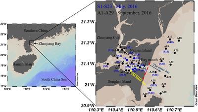 Remote sensing estimation of δ15NPN in the Zhanjiang Bay using Sentinel-3 OLCI data based on machine learning algorithm